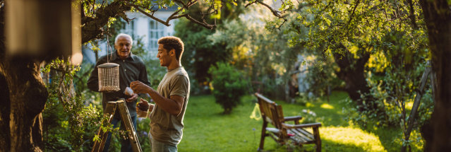 Bird Feeder Installation
