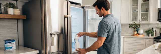 Fridge Filter Replacement