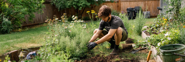 Garden Bed & Weed Cleanup