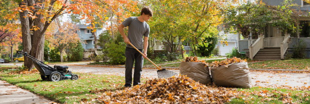 Leaf Cleaning