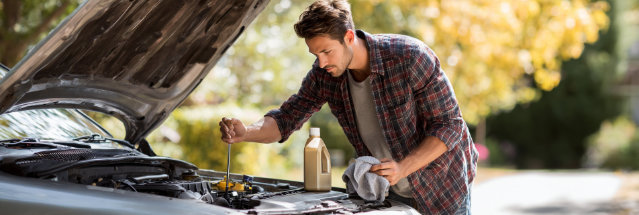 Quick Auto Check (Air/Oil/Fluid)