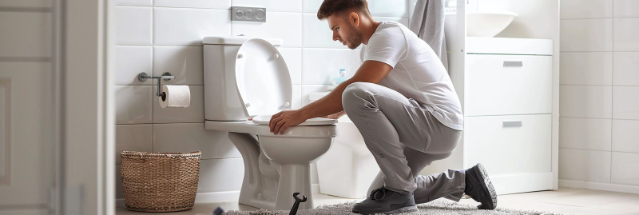 Toilet Seat Replacement service on Taskquatch